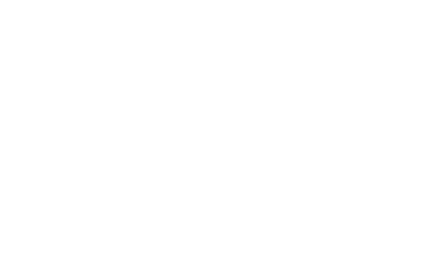 RMF MAXX